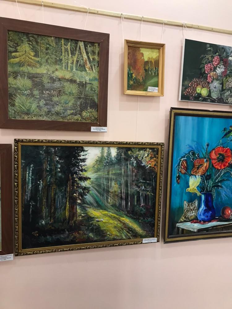 Открытие выставки башкирских художников в Чишминском районном музее