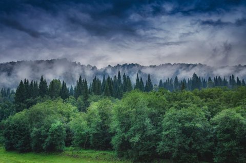 «Территория 3000» открывает выставку работ лауреатов проекта «Любимые художники Башкирии» за 2018 год