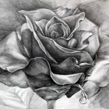 «Красная роза», Зифа Тулумбаева