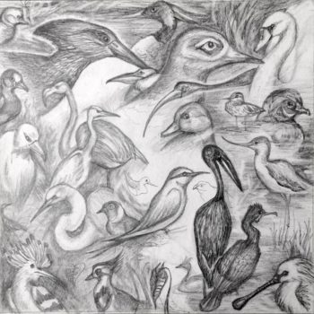 «Болотные птицы», Эльвира Каримова