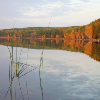 «Озеро Калкан. Осенняя тишина», Марат Сарманаев